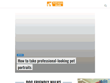 Tablet Screenshot of petfriendlyireland.com